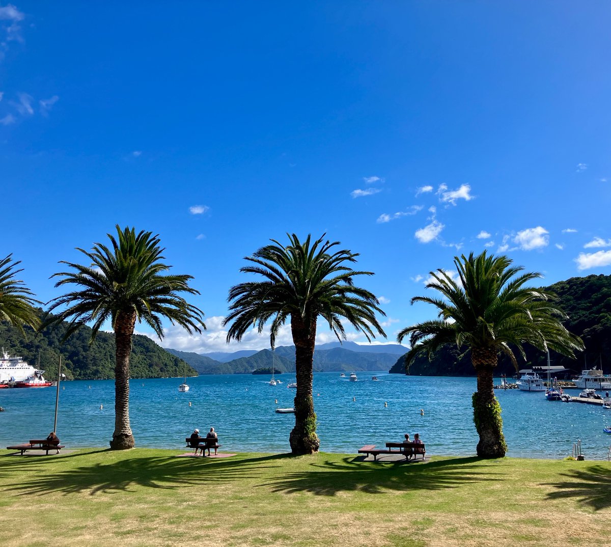 Em___NZ tweet picture