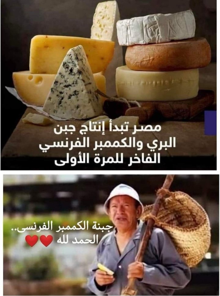 EmaarW's tweet photo. مالقوش اكل ياكلوة جابو كلب يلاعبوة https://t.co/ePaqVmKUQy