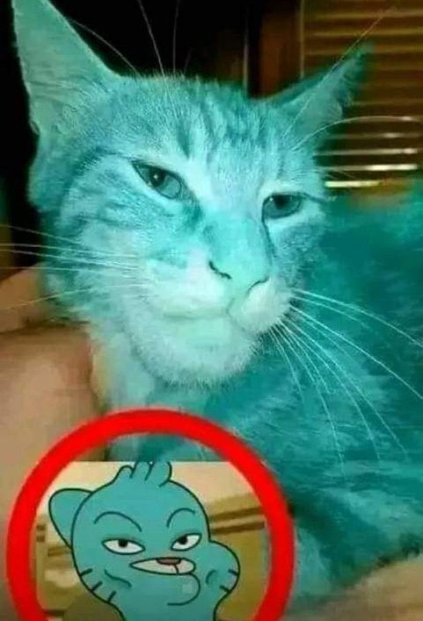 ShitpostGateway tweet media