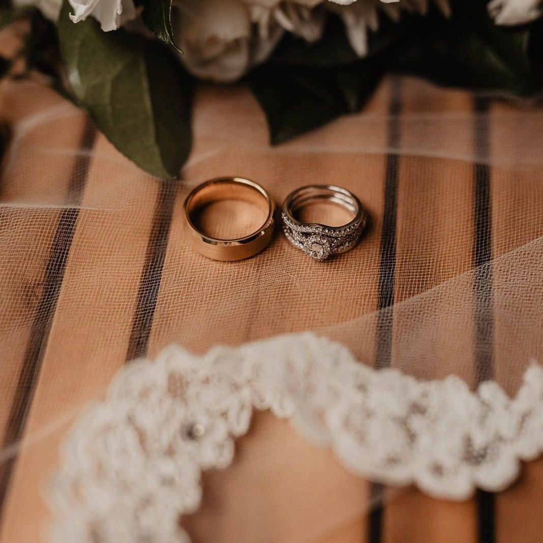 قورجس tweet media