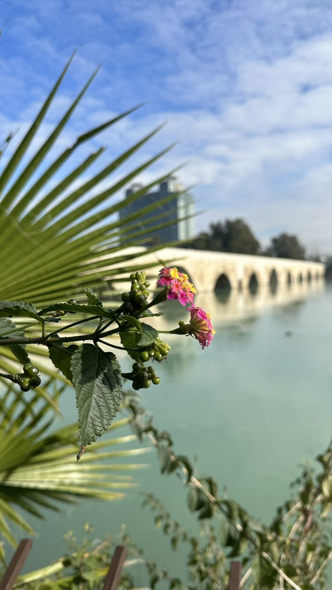 esra_acarrr's tweet photo. #Adana https://t.co/4tr7BlAW1B