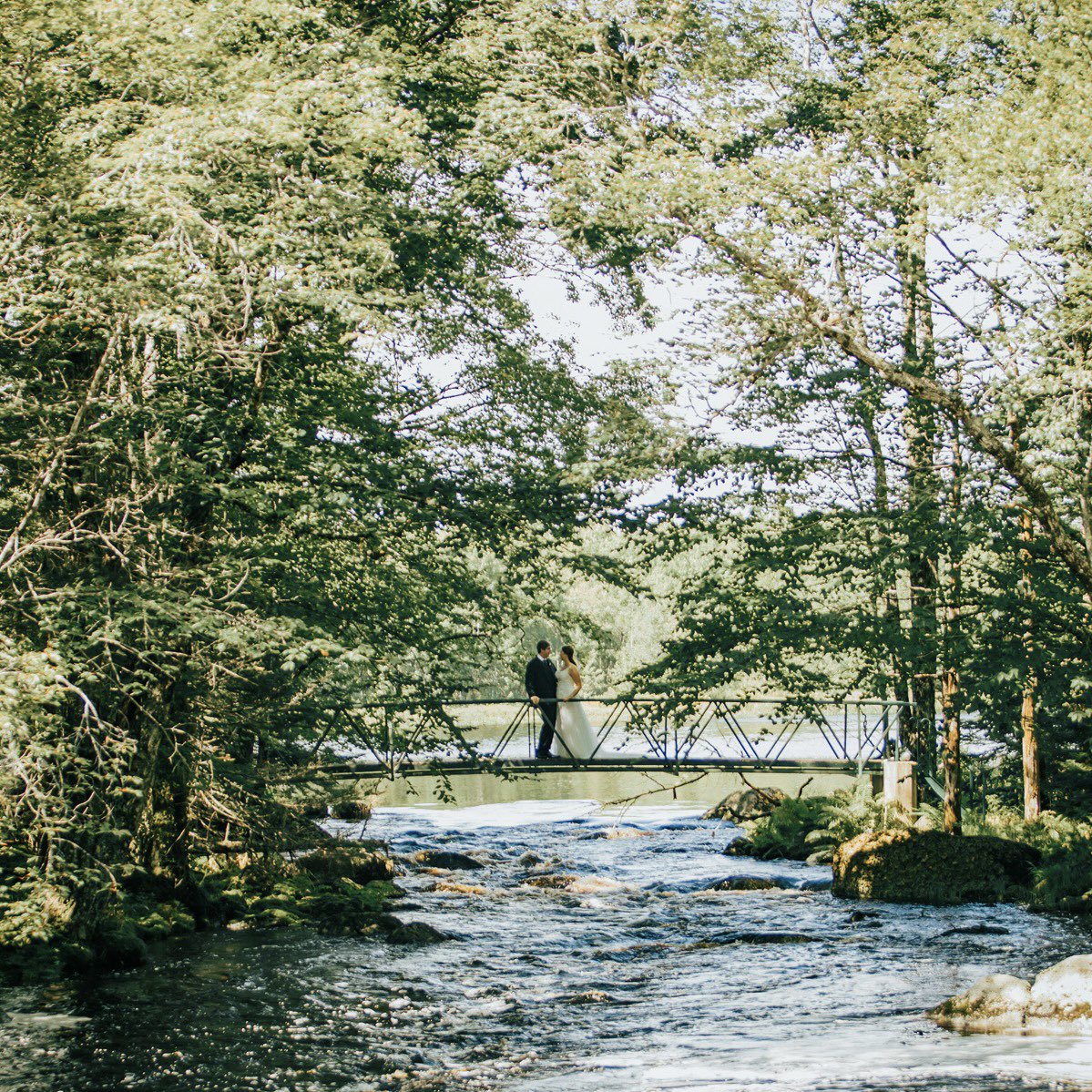Breaking your Winter feed with a little lush greenery &amp; joy from our wilderness! 

🌈 Your love journey is an adventure - why not start it with an adventurous elopement?

Book your stress-free wilderness elopement now &amp; let nature be the backdrop to your beautiful love story. 💌