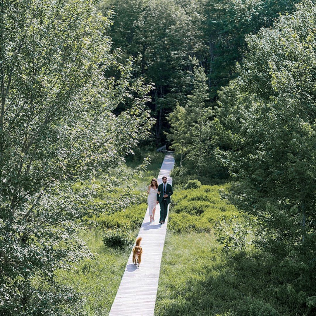 TroutPointLodge's tweet photo. Breaking your Winter feed with a little lush greenery &amp; joy from our wilderness! 

🌈 Your love journey is an adventure - why not start it with an adventurous elopement?

Book your stress-free wilderness elopement now &amp; let nature be the backdrop to your beautiful love story. 💌 https://t.co/JFChxWWB8j