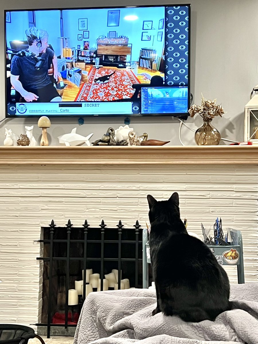 BargeeGomer's tweet photo. Harp loves watching @SSS_Stream VODs. Especially when her “friends” are on screen. https://t.co/pWJFfFmPtF