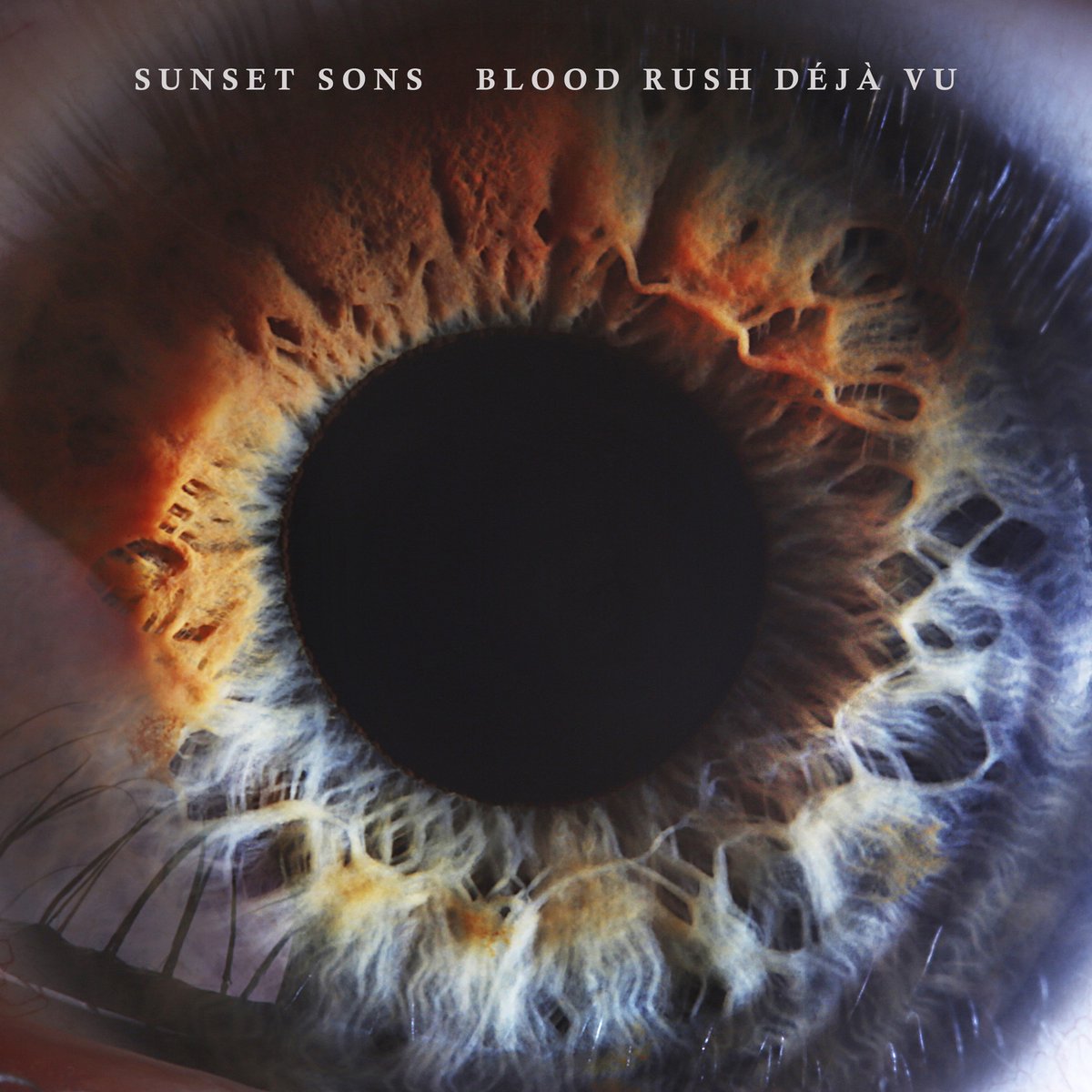 Sylvie Rapiteau (@sylvierapiteau) on Twitter photo #SongOfTheDay / #ChansonDuJour
<a href="/SunsetSons/">SUNSET SONS</a> : Alien
Love this song and love this band 😍😍😍
youtu.be/_ycUimNaMRU
#newmusic #ukmusic #TrackOfTheDay #music #Musician #musiclovers #radio #Newmusicalert #SunsetSons #alien #SongOfTheDay / #ChansonDuJour
<a href="/SunsetSons/">SUNSET SONS</a> : Alien
Love this song and love this band 😍😍😍
youtu.be/_ycUimNaMRU
#newmusic #ukmusic #TrackOfTheDay #music #Musician #musiclovers #radio #Newmusicalert #SunsetSons #alien