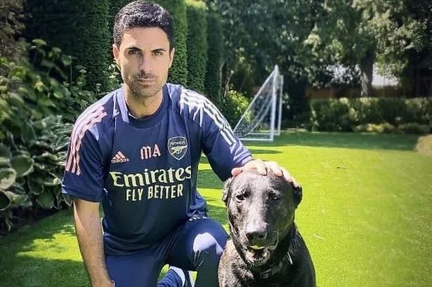 After watching that video😭,Nuno Tavares should stay far away from Win.