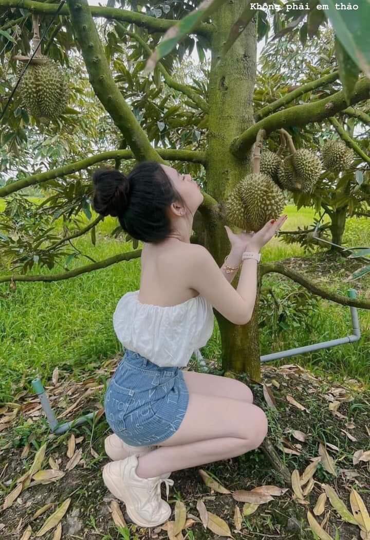 DURIAN tweet media
