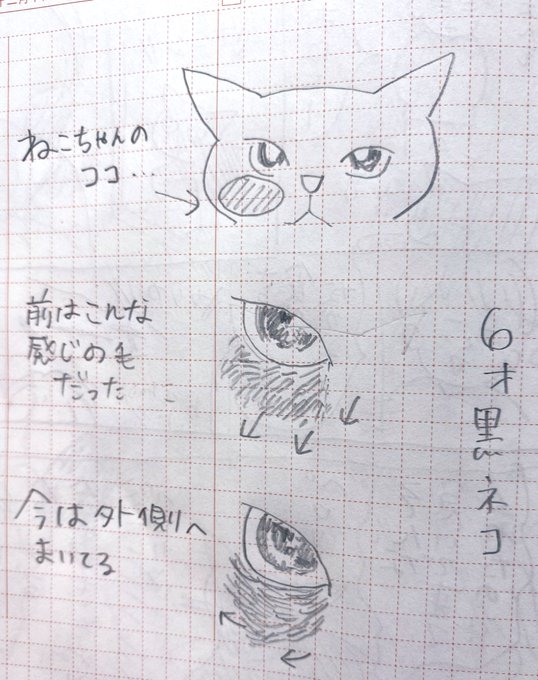 日記 雨量が多い地域+保護者が夕方まで働くお家だと、自転車って乗れて月に一回月くらいにならない?うちだけかも?😂 今も夕方で曇りぐらいだったら、乗りたいっ!て言うけど、前日雨で地面はピチョピョしてるぅー
