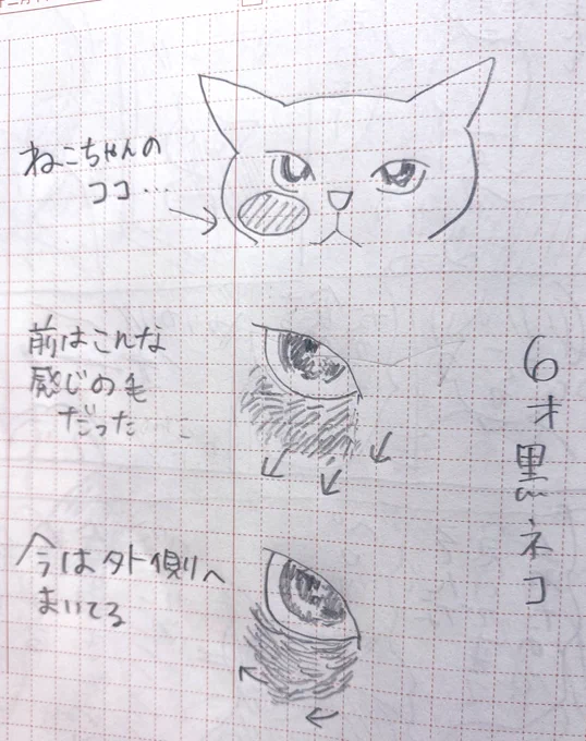 日記 雨量が多い地域+保護者が夕方まで働くお家だと、自転車って乗れて月に一回月くらいにならない?うちだけかも? 今も夕方で曇りぐらいだったら、乗りたいっ!て言うけど、前日雨で地面はピチョピョしてるぅー