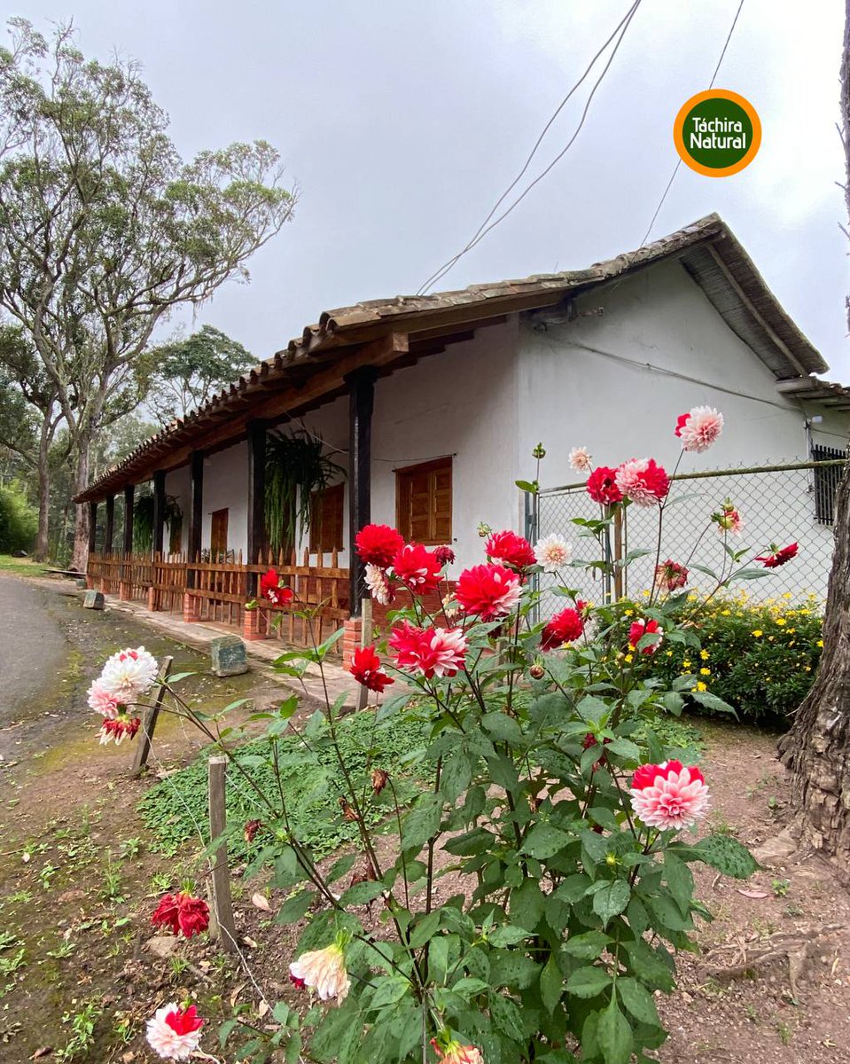 ¿Vivirás en una casita así en los páramos andinos?

📍 Mesa de Aura, Táchira. Venezuela  🇻🇪 

#VenezuelaHumanista
#Turismo
#Venezuela
.@NicolasMaduro
@Minturvzla
#PRELEMI