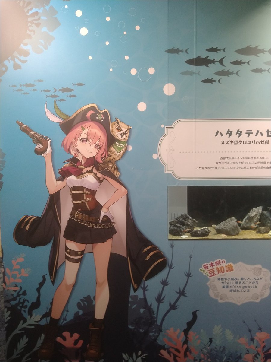 Luisrutanson's tweet photo. ササスイ楽しかったやよ〜！
#ササスイ https://t.co/iWIMEzwNJY
