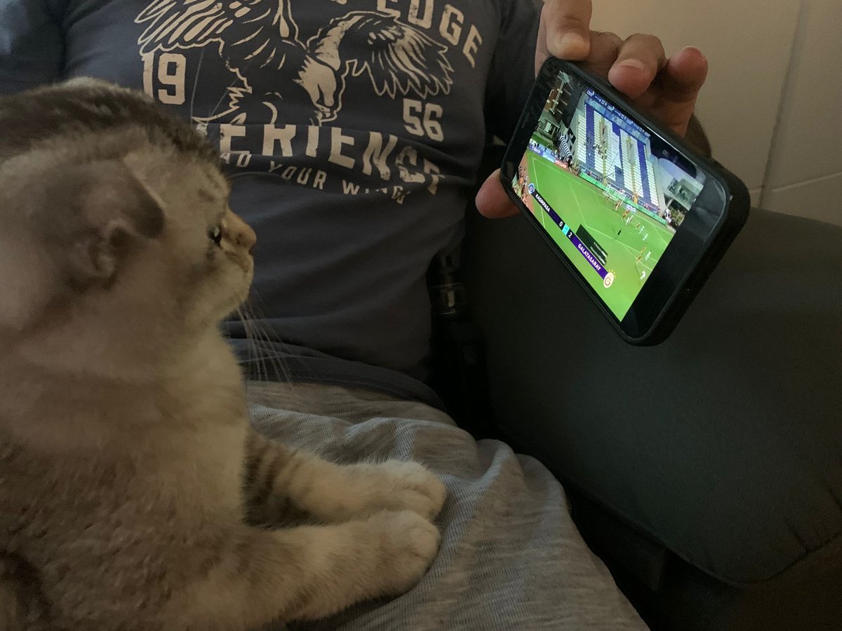 #GSvGFK  #KONSANTRASYON #KenetlenbaşkaGALATASARAYyok #BugünGünlerdenGALATASARAY

#Galatasaray #Hedef24