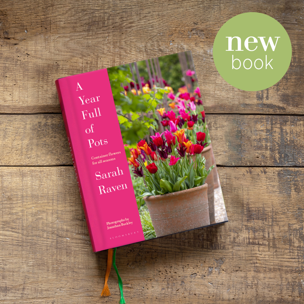 Discover how to create a vibrant and ever-changing tapestry of colours with Sarah’s new book ‘A Year Full of Pots’. It takes you through the journey of crafting breathtaking container combinations that evolve with the seasons. Pre-order your copy here: pulse.ly/60xely8dim