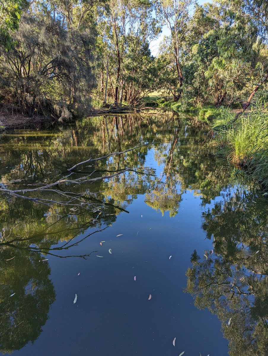 TheWitchersOne's tweet image. My view
#ShadowsReflects @DavidMariposa1