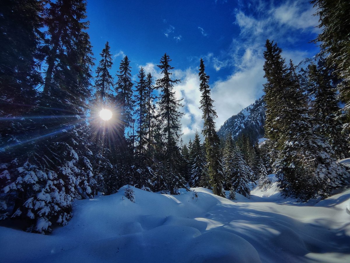 GORSKI_SWIAT's tweet photo. #mountain_world #zima #tatry #doliny 

Marek Gasparec... https://t.co/TijQVil4Xe