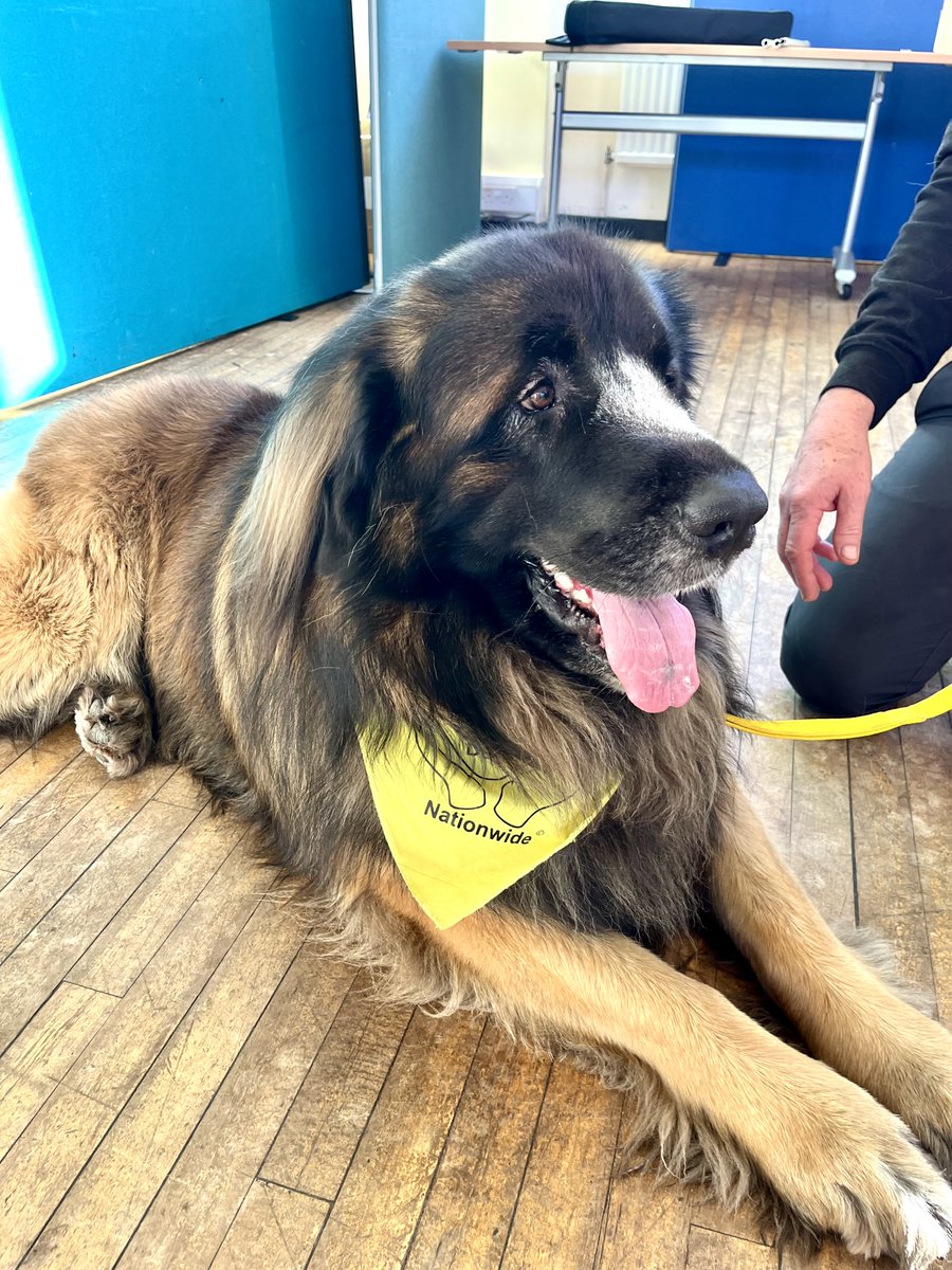 On Friday 26 Jan the School of Natural Sciences invited members of the Therapy Dogs organisation to the university for a session. Staff and students really enjoyed the experience.