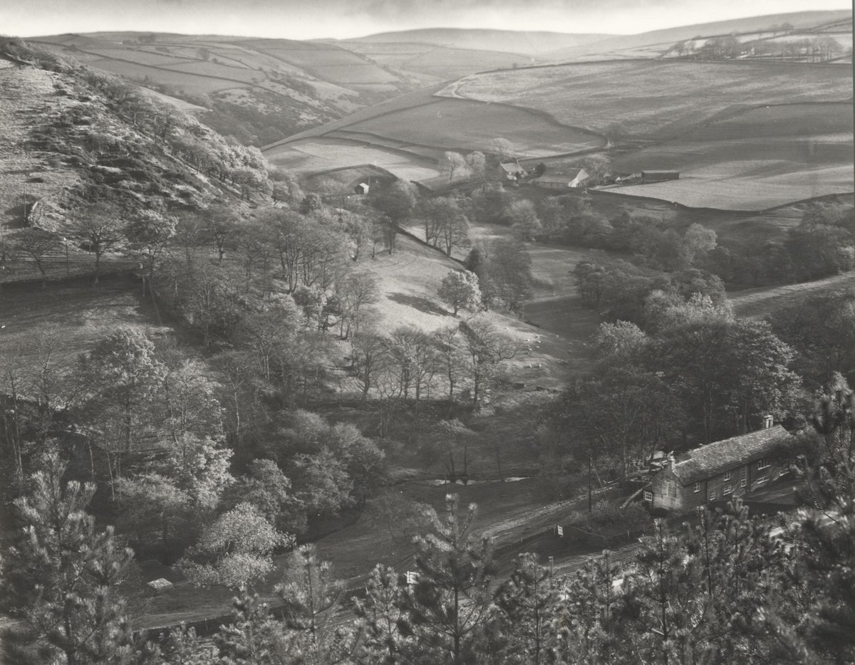 Cheshire Archives tweet media