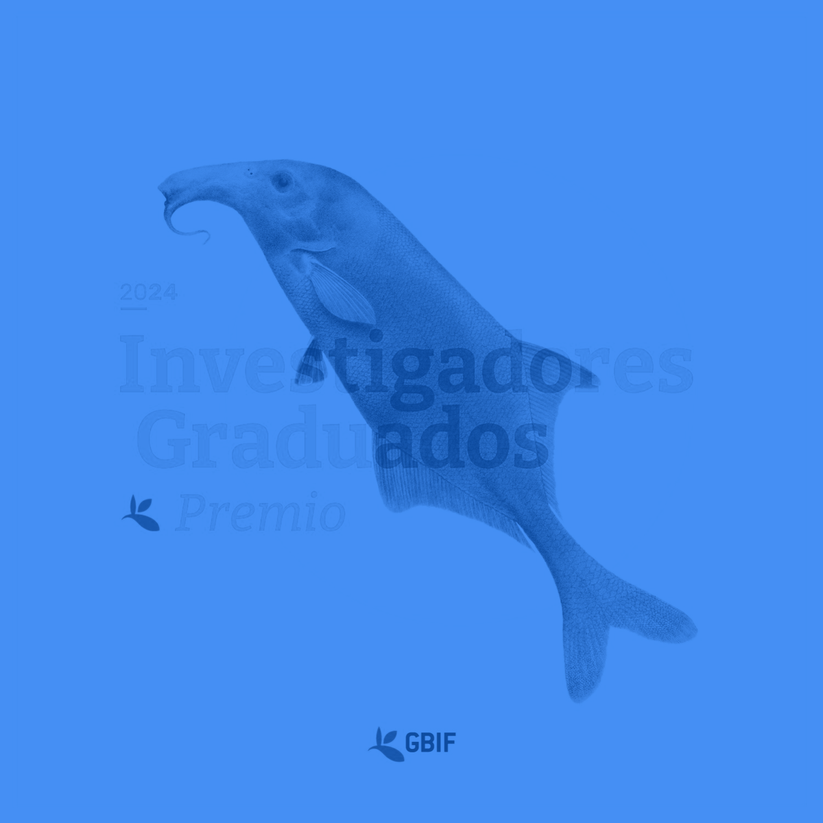 GbifEs's tweet photo. El Premio GBIF para Investigadores Graduados 2024 premia con 5000 € la investigación y los descubrimientos en informática de la biodiversidad con datos de @GBIF. ¡Presenta tu candidatura! (hasta el 3 de junio)▶️https://t.co/IDAiYeSabA #GradResearchers https://t.co/48ux8RRFYr