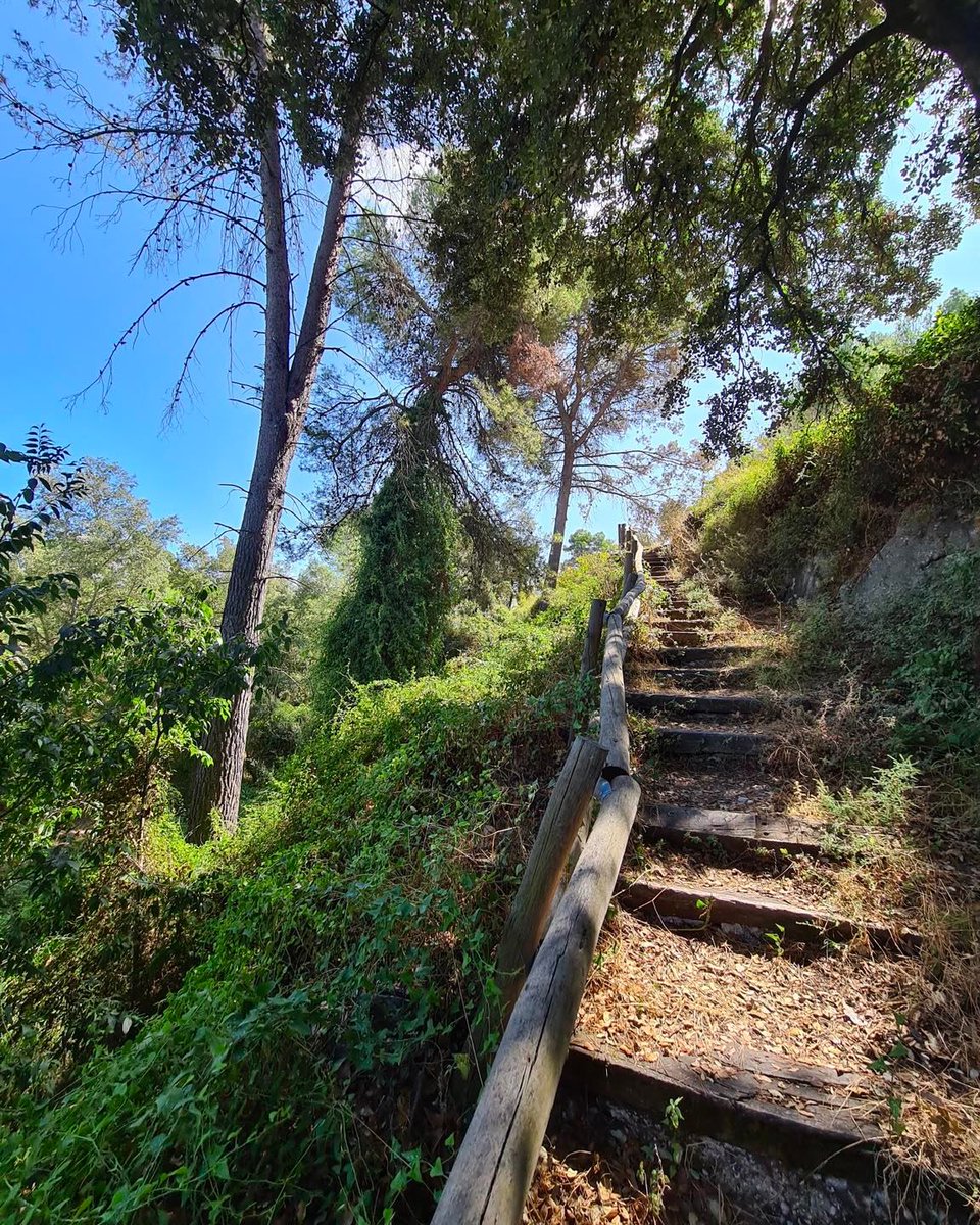 costablancaorg's tweet image. Conecta con la naturaleza  en el paraje natural Font del Baladre 📷 y disfruta de un maravilloso día al aire libre 🌿 
#MuroDeAlcoy #CostaBlanca