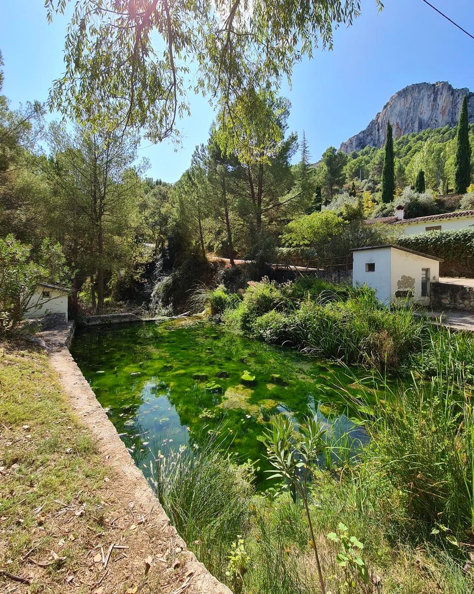 costablancaorg's tweet image. Conecta con la naturaleza  en el paraje natural Font del Baladre 📷 y disfruta de un maravilloso día al aire libre 🌿 
#MuroDeAlcoy #CostaBlanca