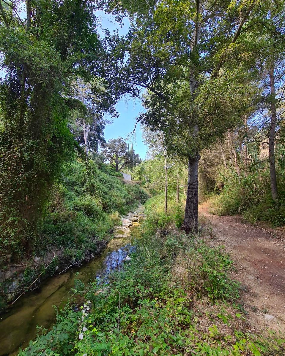 costablancaorg's tweet image. Conecta con la naturaleza  en el paraje natural Font del Baladre 📷 y disfruta de un maravilloso día al aire libre 🌿 
#MuroDeAlcoy #CostaBlanca