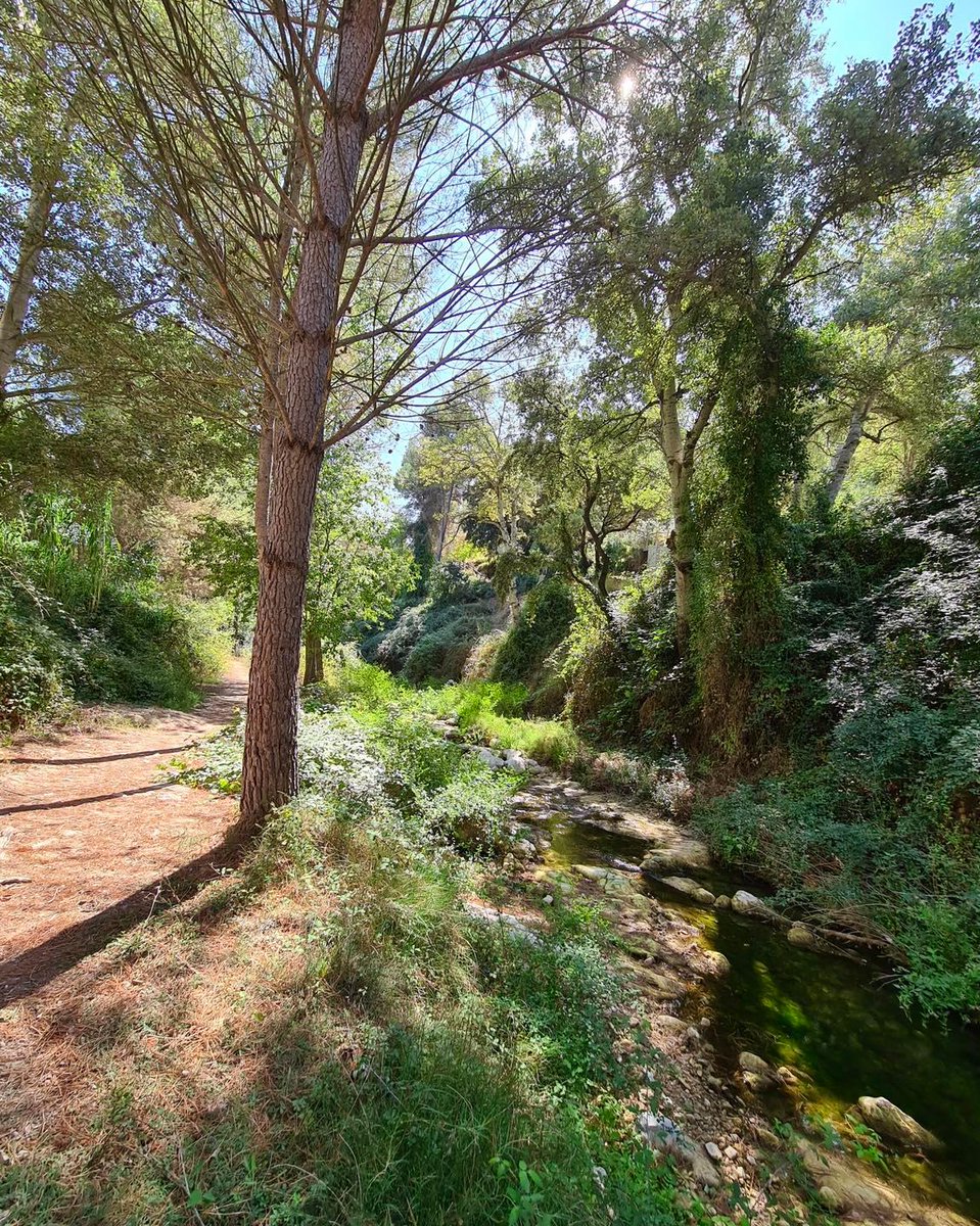 costablancaorg's tweet image. Conecta con la naturaleza  en el paraje natural Font del Baladre 📷 y disfruta de un maravilloso día al aire libre 🌿 
#MuroDeAlcoy #CostaBlanca