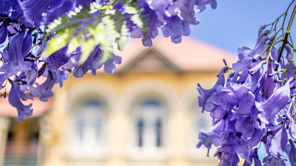 Brisbane Girls Grammar School welcomes applications for two needs-based bursaries for girls commencing Year 7 in 2025.

For further information, visit 
bggs.qld.edu.au/enrolment/burs…