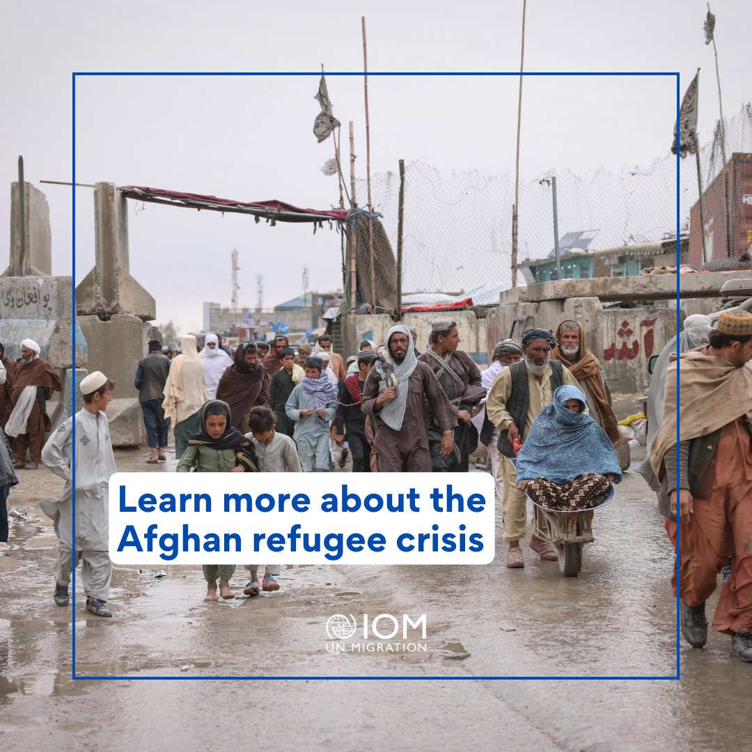 Seeking insights into the Afghan refugee crisis? The @RDHAsiaPacific Asia–Pacific Migration Data Portal's interactive country pages offer a wealth of data & visualizations. Dive in! ➡️ ap-migrationdata.iom.int/en/south-west-… #Afghanistan