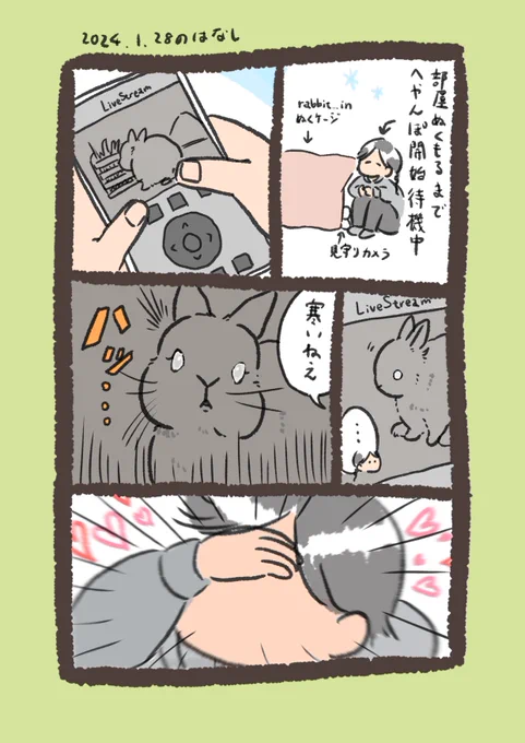 humanの声好きの〜??🥰
#うさぎのいる生活 