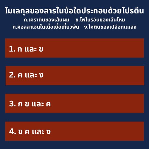 bioislike's tweet image. #Bioquiz Ep.8

ข้อนี้ตอบอะไรดี…

#dek67 #alevel67