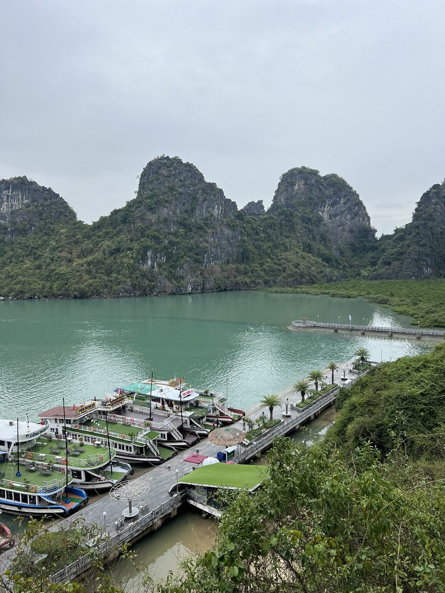 HaLong Bay Boat and Cave tour was great! @perxvacations @CelebrityCruise