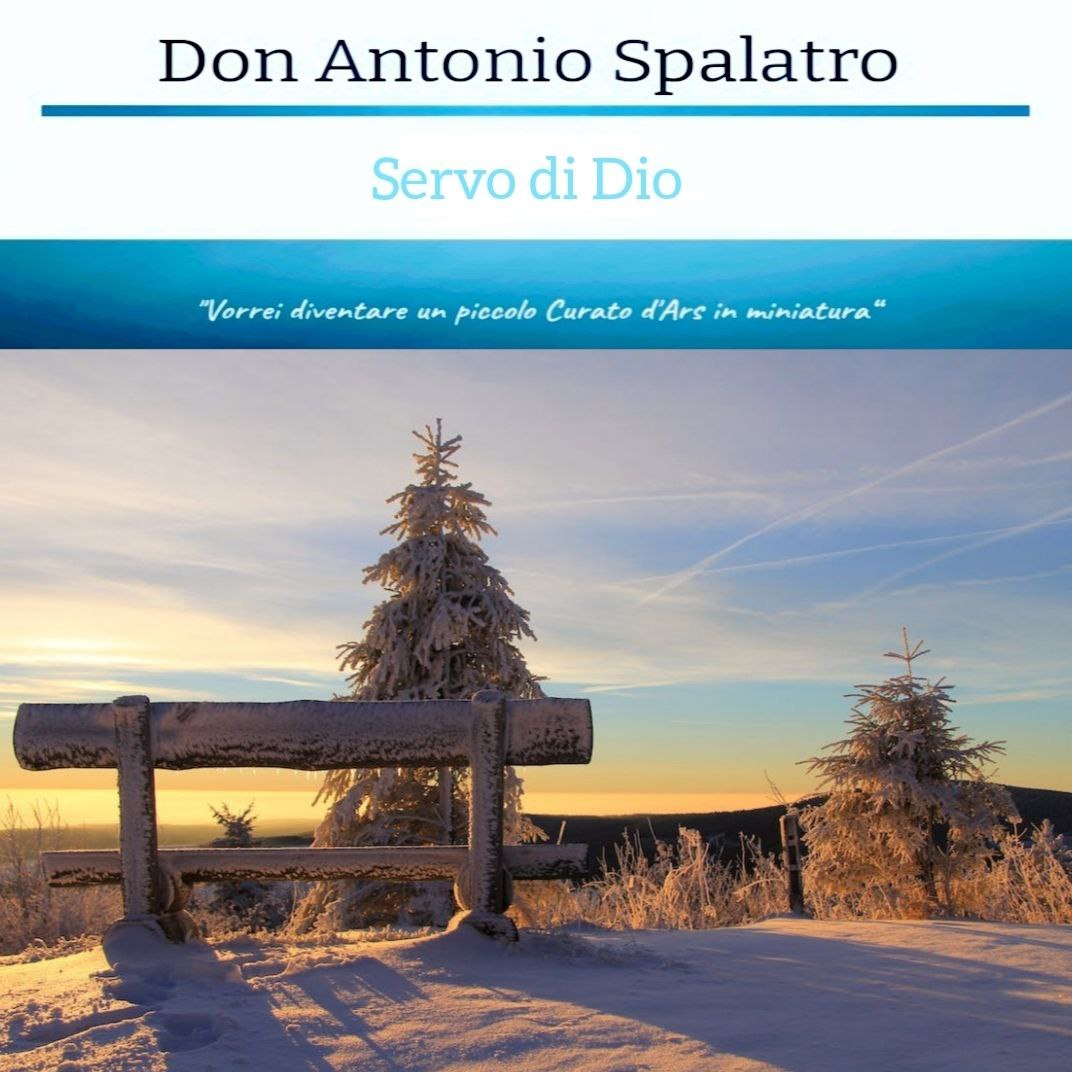 Dal diario spirituale:
~ Egli mi ispirerà certamente quello che è il meglio. ~

#donantoniospalatro #vieste #cattolico #catholic #diocesimanfredoniaviestesangiovannirotondo #santigiovani