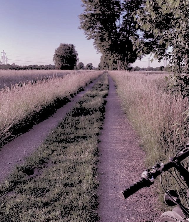 ㅤㅤ
             ♡    extrañando tanto esto... 🌅