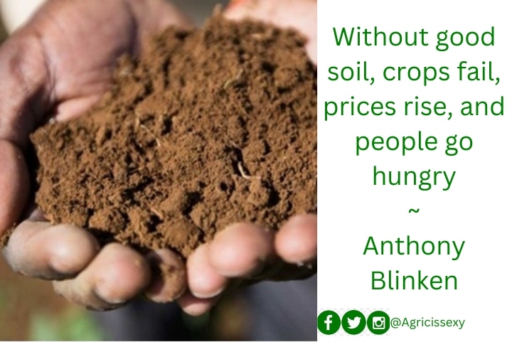 Without good soil, crops fail, prices rise and people go hungry

~
Anthony Blinken

#mondaymotivation
#agricissexy
#youthinagriculture
#NewWeek