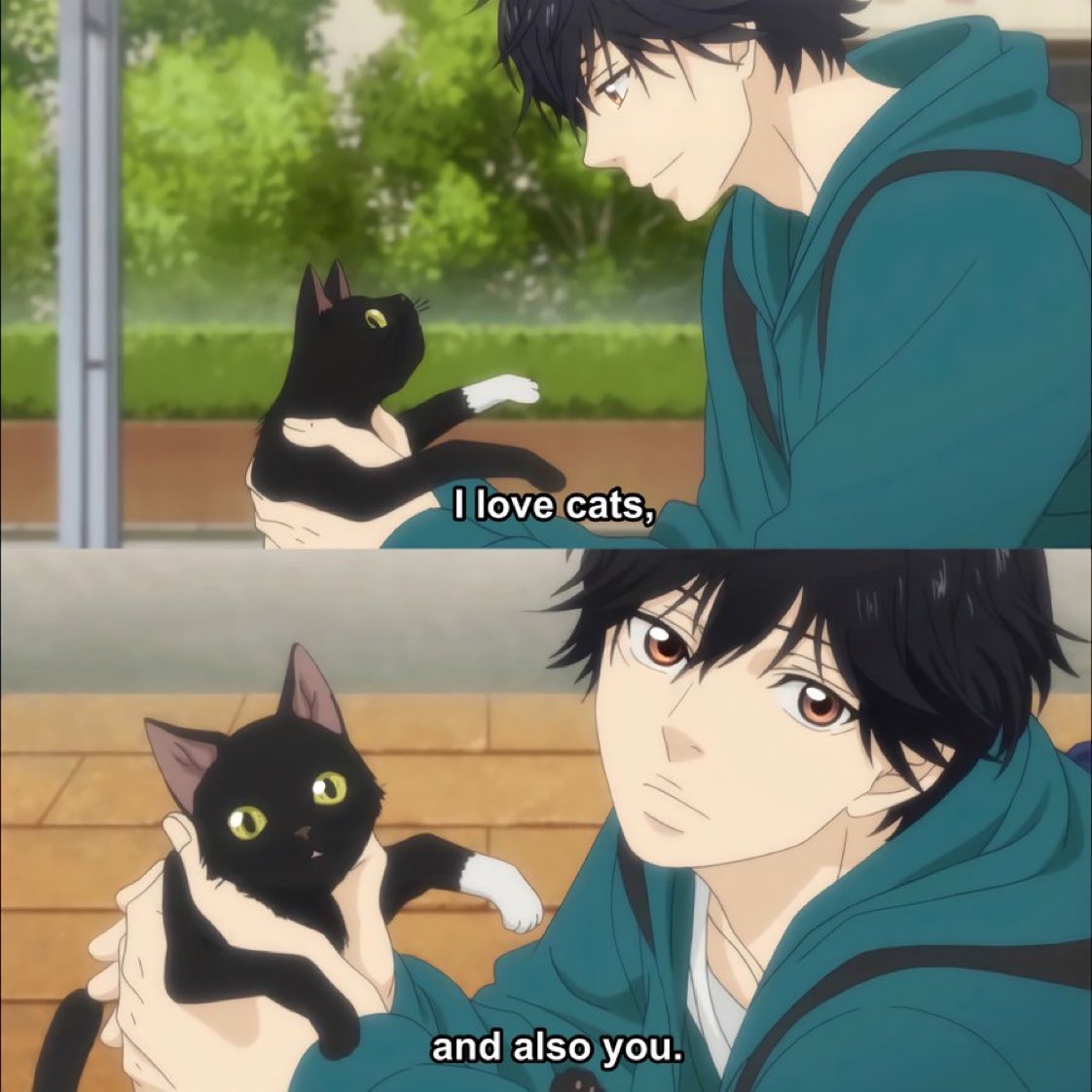 Anime : Ao Haru Ride