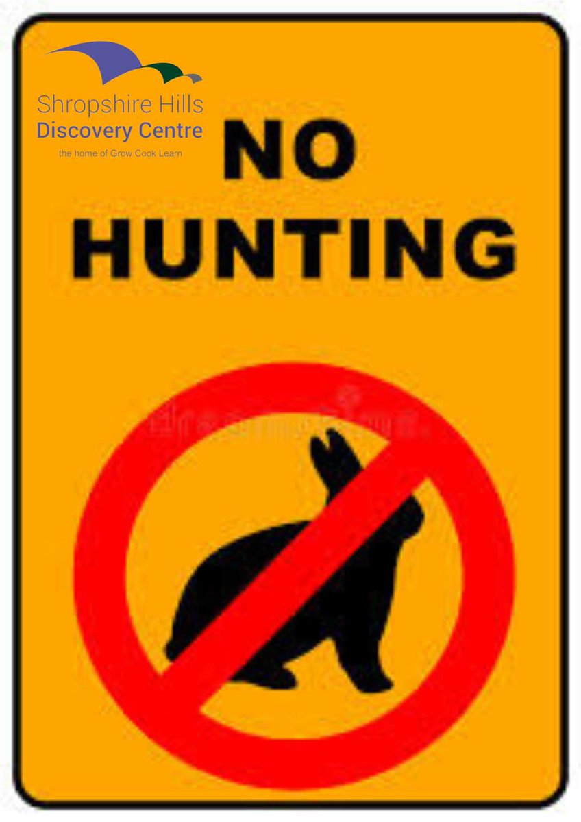 It’s a shame we’re even having to say this but hunting in our meadows is strictly prohibited
We are lucky to have meadow users being our eyes. Anybody thought to be hunting or any antisocial behaviour will be reported to the police
Let’s keep our meadows safe and welcoming place