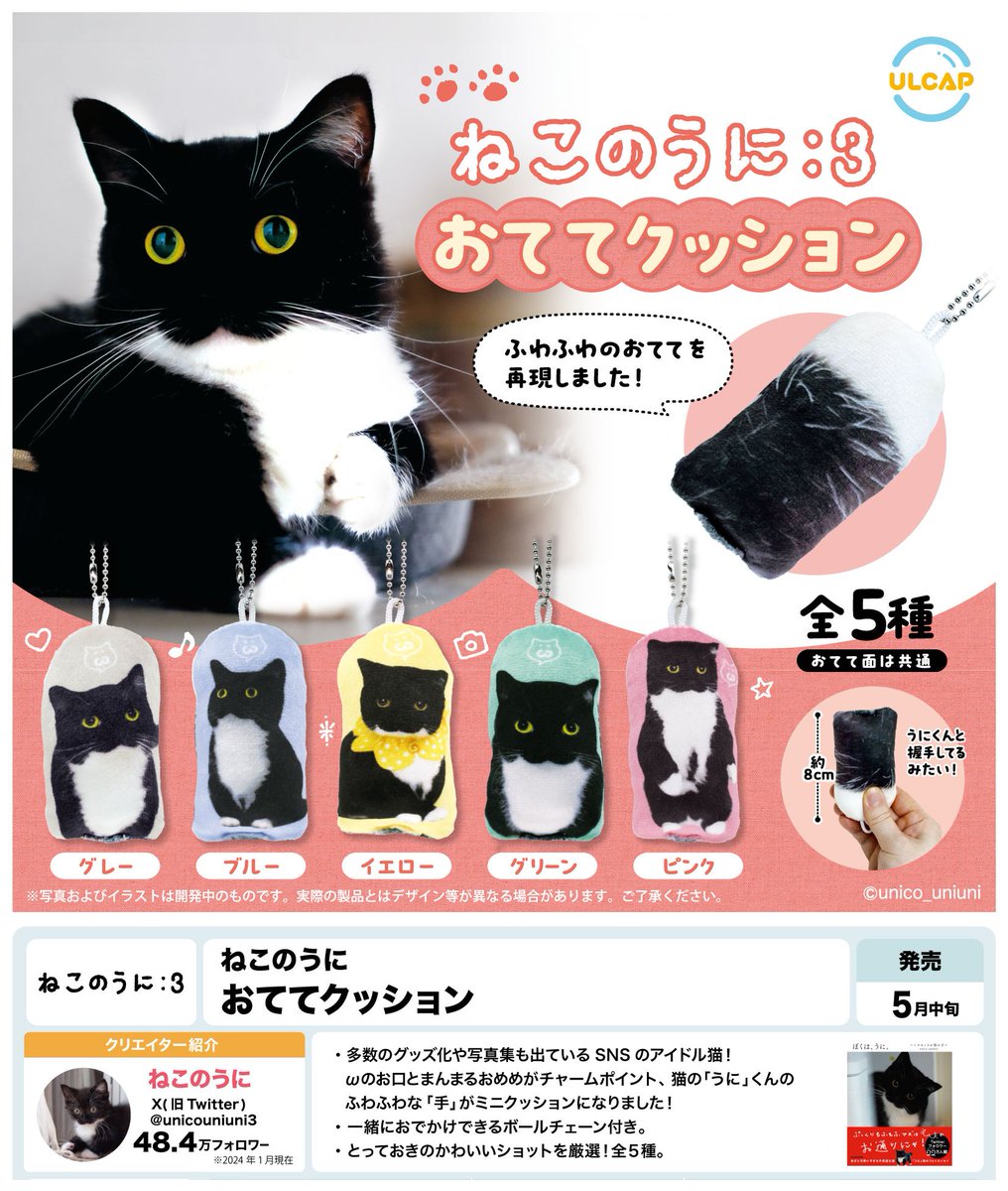 ☆2024年5月発売商品紹介☆ 『ねこのうに：3 おててクッション』 全5種