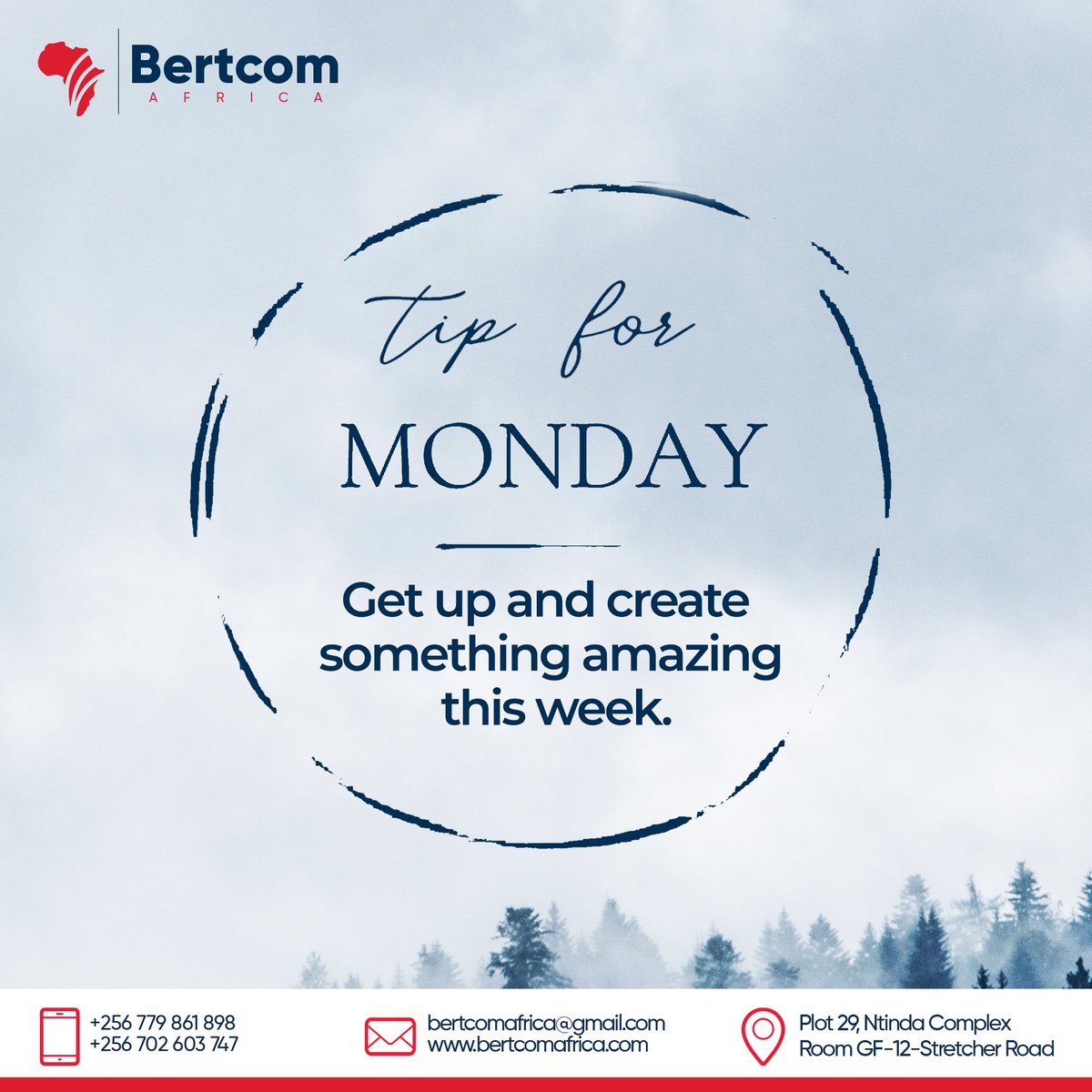 Bertcom Africa tweet media