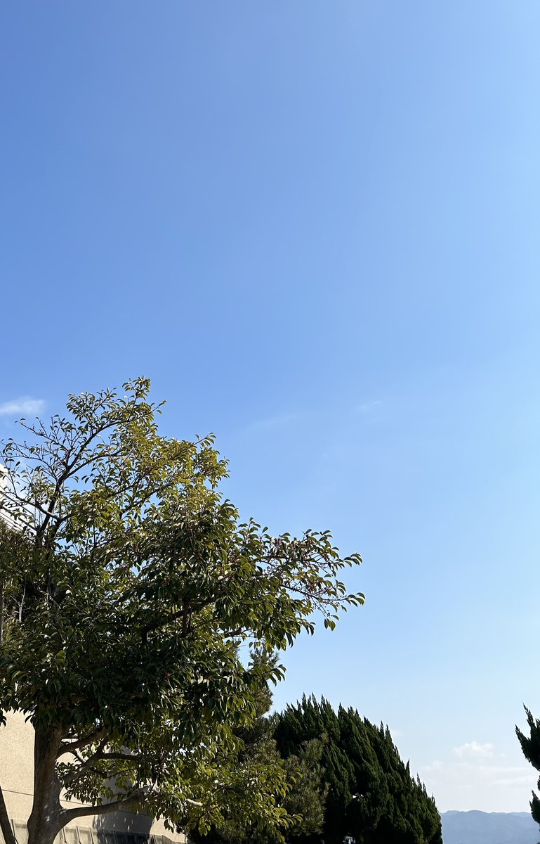dwolf_drone's tweet photo. 今日はドローンに関する豆知識をご紹介！
ドローンの語源をご存じですか？

その１）オス蜂の羽音
ドローンは英語で「オスの蜂」という意味から

その２）第二次世界大戦の訓練機の名称
イギリス軍の軍用機「クイーン・ビー」から派生

背景がわかると面白いですね✨

#ドローン 
#ディーウルフ https://t.co/HCOLo8H4PQ