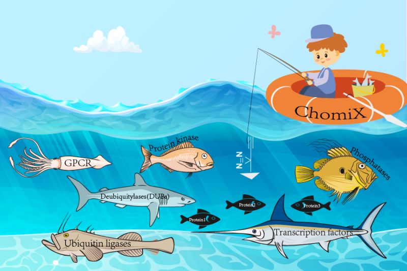 BiotechCho14599's tweet image. What is chemical proteomics?
When chemical proteomics meets drug discovery, what sparks emerge from their intersection? 
What unique appeal does this technology hold compared to traditional approaches?
Know this? Share your thoughts！🧬💊
#DrugTargetDiscovery
#TargetValidation