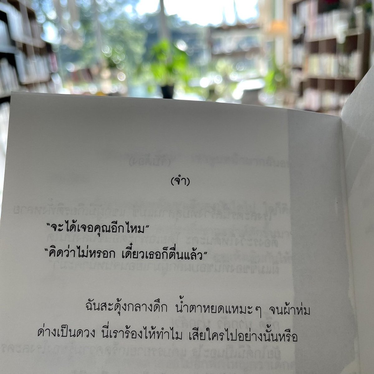 กลิ่นหนังสือ (@klinnangsue) on Twitter photo 