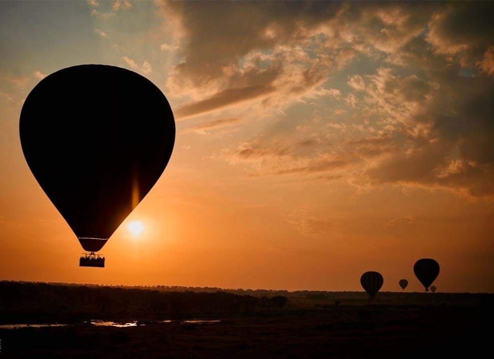 A sunrise is Nature telling you that it's time to cherish another day on Earth. Enjoy life. #serengetisunrise #BalloonSafari #miracleexperience #LuxurySafaris eastafricaluxurytravel.com