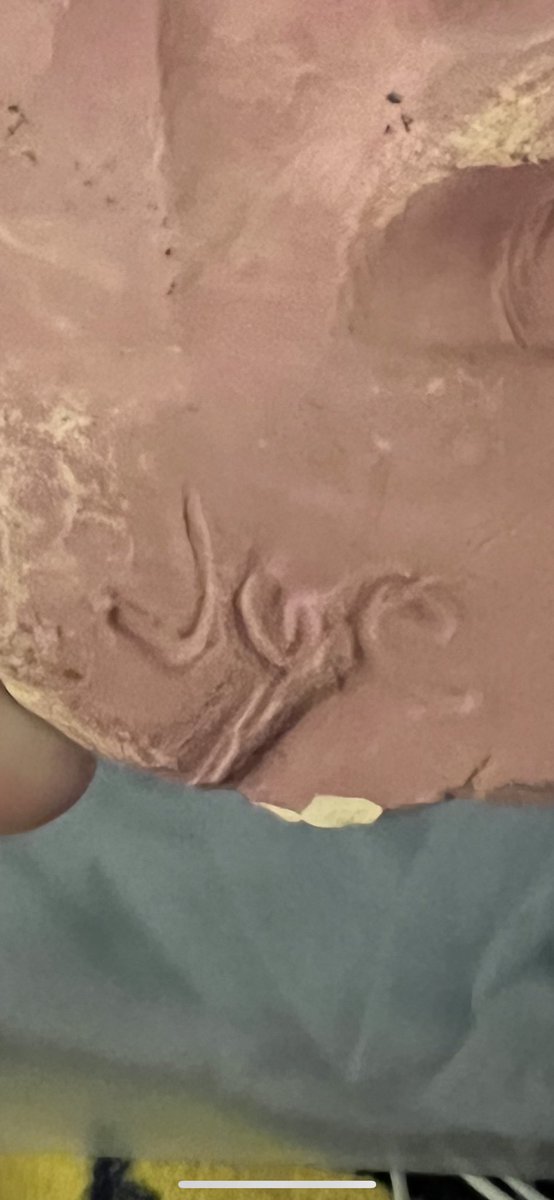 Joe Murgia tweet media