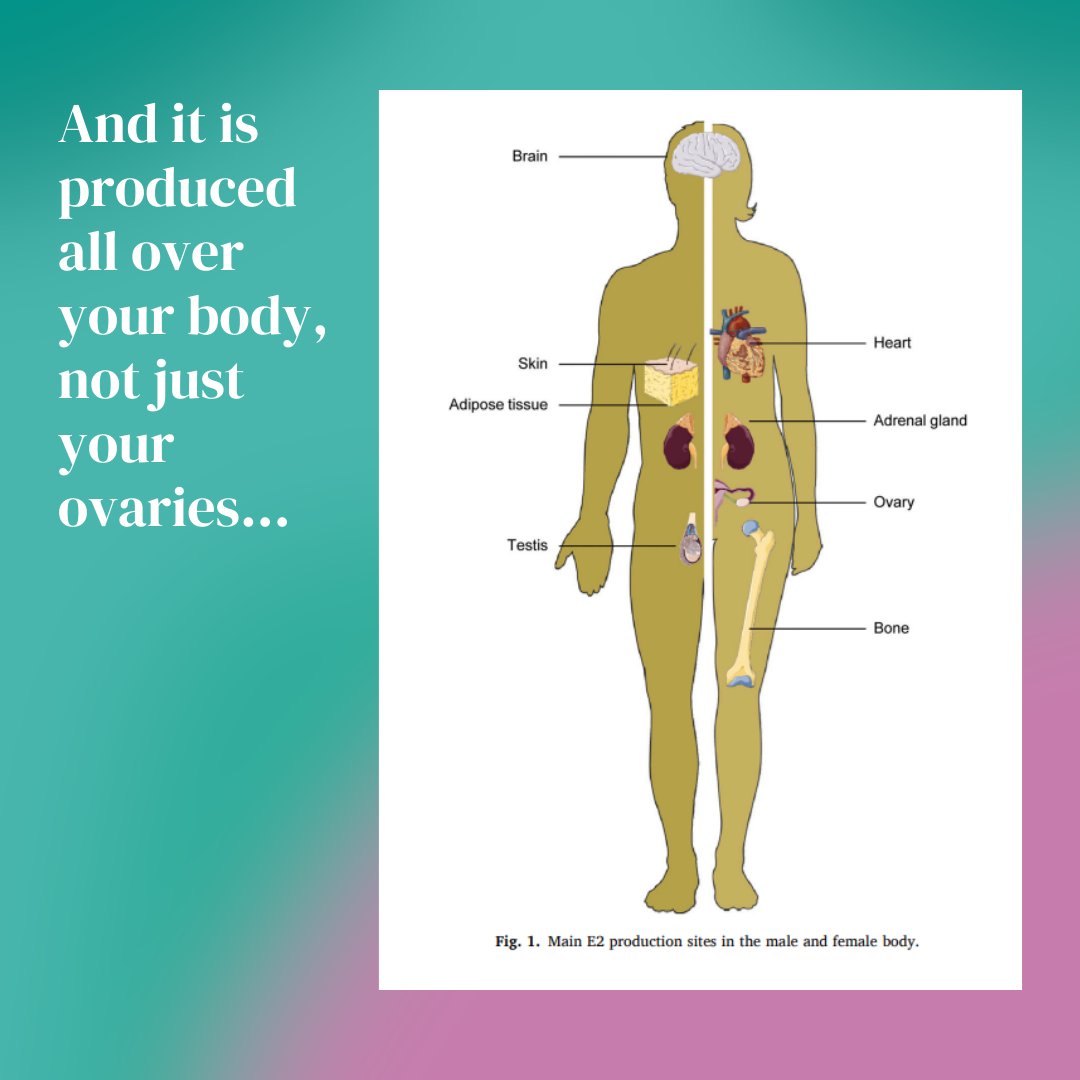 So often the menopause is overlooked as a natural life event that women just need to ‘get on with’ and ‘get through’ - and I have trouble with that narrative.

Menopause is a permanent reduction of your hormone levels which can bring on wide ranging symptoms and an increased risk
