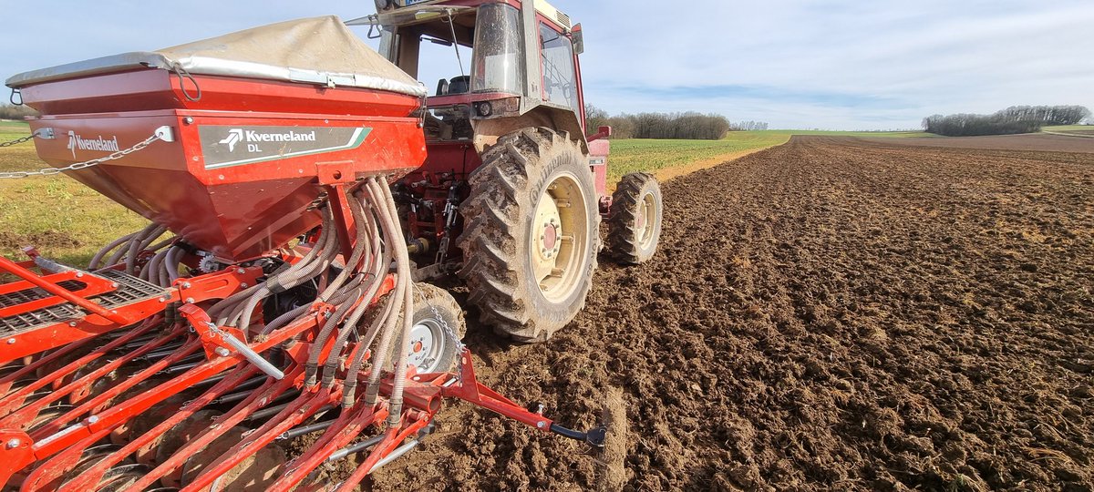 bubu1664's tweet image. Plan A et plan B
Semis de pois finit 
Enfin une belle journée de soleil
#MondayMotivation #semis2024
#agriculture #subirousunir #boycott #ihforever
