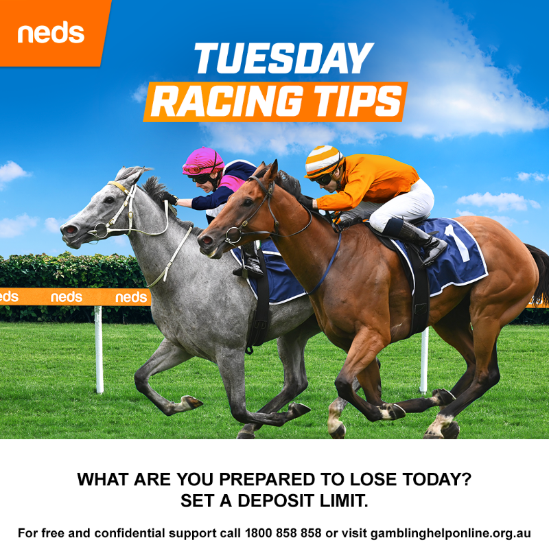 neds racing tips