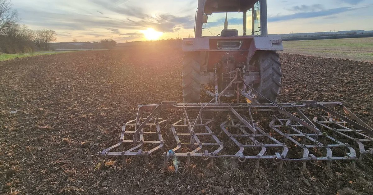 bubu1664's tweet image. Plan A et plan B
Semis de pois finit 
Enfin une belle journée de soleil
#MondayMotivation #semis2024
#agriculture #subirousunir #boycott #ihforever