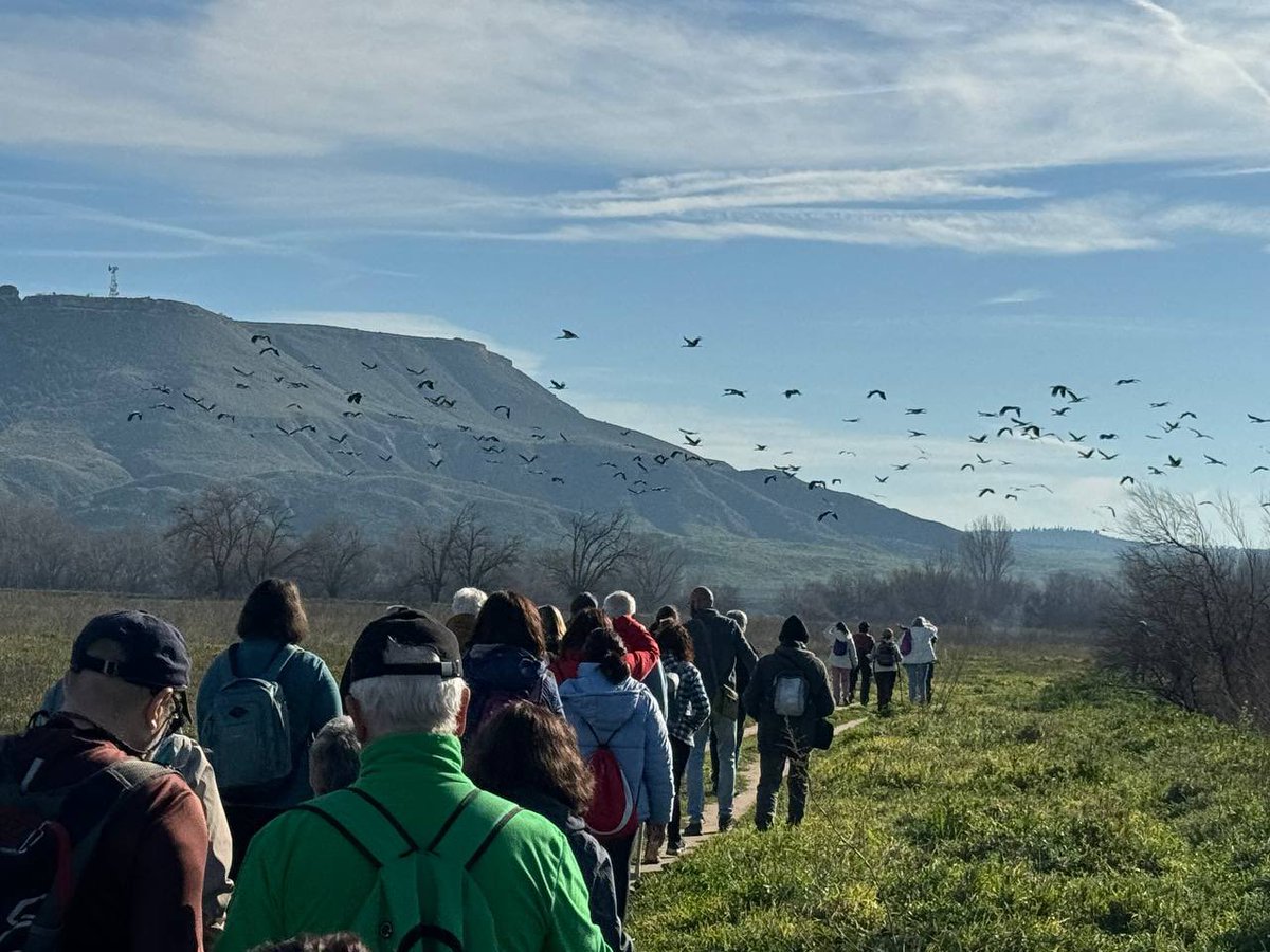 1Millón de Árboles X El Cambio Climático-Alcalá tweet media