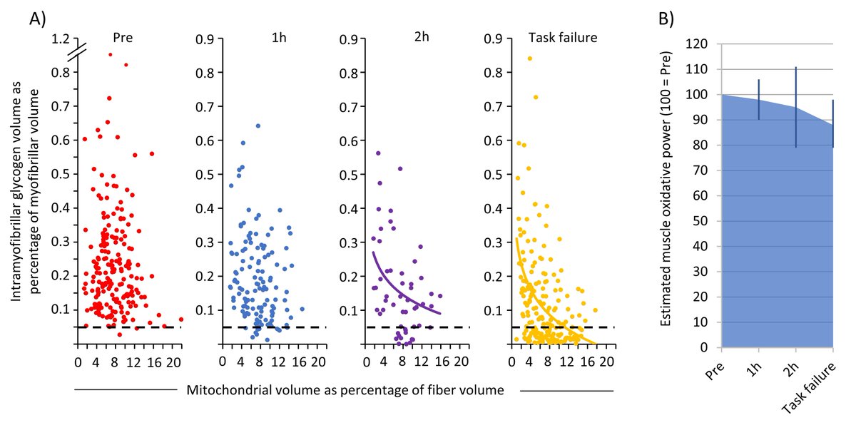 Joachim Nielsen (@joachimnielsen6) on Twitter photo 12% reduction in muscle oxidative power due to glycogen-dependent muscle fatigue!
This is what we suggest based on single fiber assessments of glycogen and mitochondrial volume percentages during prolonged cycling. With <a href="/RJmetab/">Rasmus Jensen</a> and <a href="/nortenblad/">Niels Ørtenblad</a>.
onlinelibrary.wiley.com/share/XC5XTKR9… 12% reduction in muscle oxidative power due to glycogen-dependent muscle fatigue!
This is what we suggest based on single fiber assessments of glycogen and mitochondrial volume percentages during prolonged cycling. With <a href="/RJmetab/">Rasmus Jensen</a> and <a href="/nortenblad/">Niels Ørtenblad</a>.
onlinelibrary.wiley.com/share/XC5XTKR9…