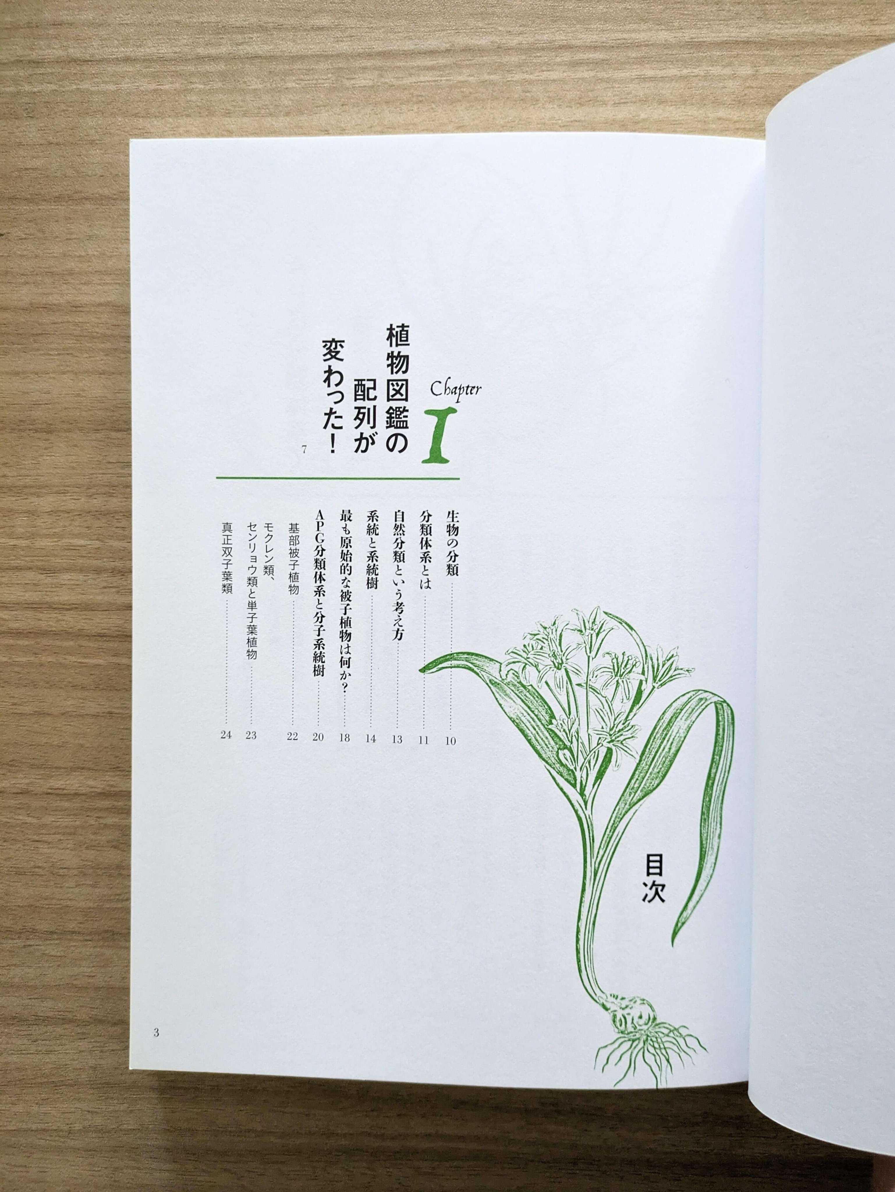 ノースブックセンター в X: „買取商品紹介 『新しい植物分類体系-APGで見る日本の植物』 伊藤 元己 / 井鷺 裕司 著,2018,文一総合出版 DNA解析に基づき新たに構築されたAPG分類体系。21世紀に入って採用された新たなこの分類により、図鑑の配列はどう変わったのか?巻末に ノースブックセンター в X: „買取商品紹介 『新しい植物分類体系-APGで見る日本の植物』 伊藤 元己 / 井鷺 裕司 著,2018,文一総合出版 DNA解析に基づき新たに構築されたAPG分類体系。21世紀に入って採用された新たなこの分類により、図鑑の配列はどう変わったのか?巻末に